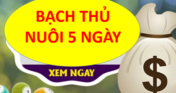 Bí quyết nuôi lô khung 5 ngày cho người mới